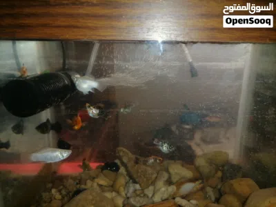 undefined 2