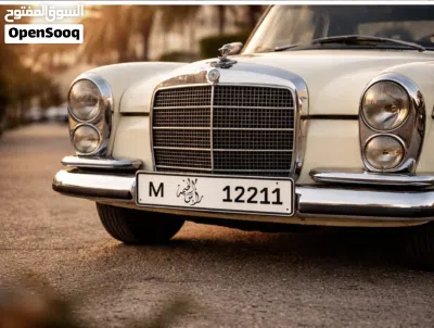 12211 fancy plate for sale 4