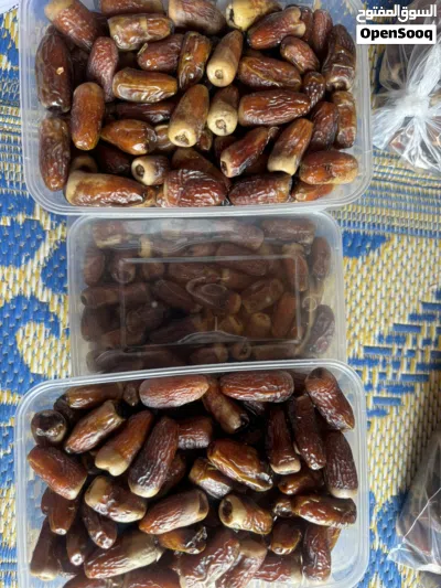 البيع تمر نغال درجه اولى وشب حبه كبيره انتاج هذي سنه 3