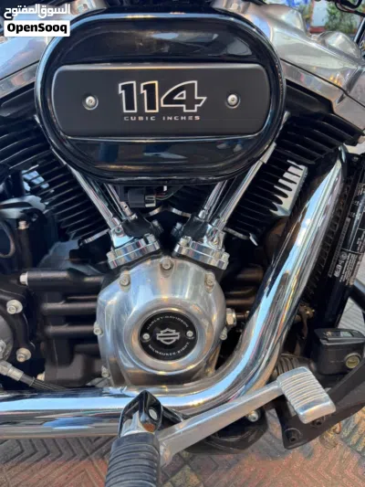 Harley Davidson Softail Slim 3