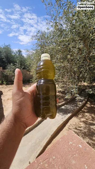 زيت زيتون الجبل الغربي 2