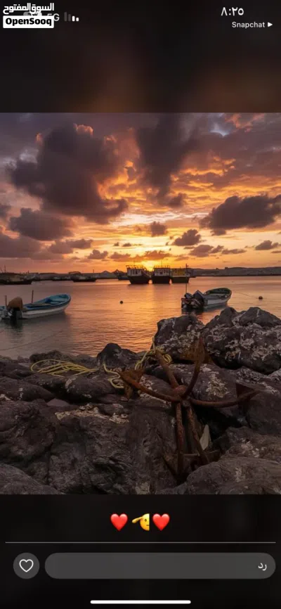 اجار منزل ف الاشخره 3