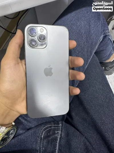 12 pro max 3