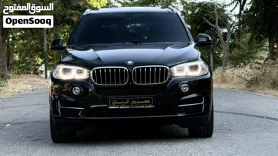 BMW X5 Series X5 xDrive40i 3