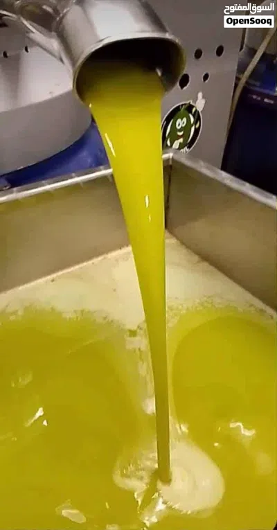 زيت زيتون سهم الكفارات 4