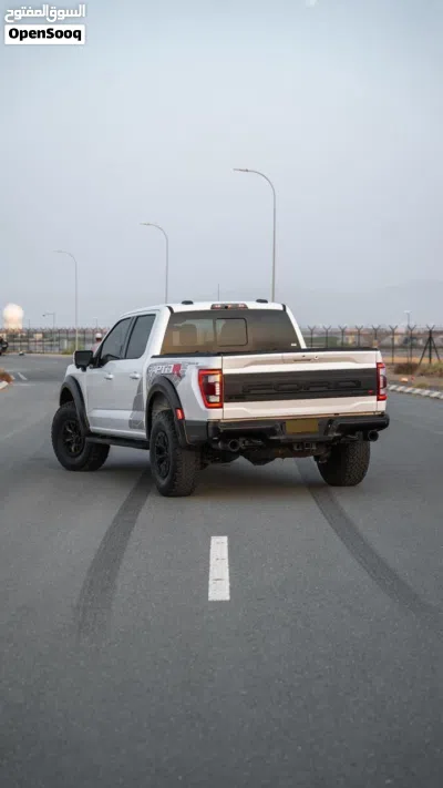 Ford F-150 Raptor 2