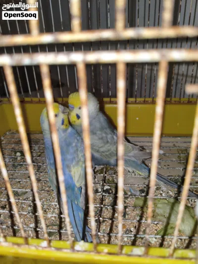 undefined 2