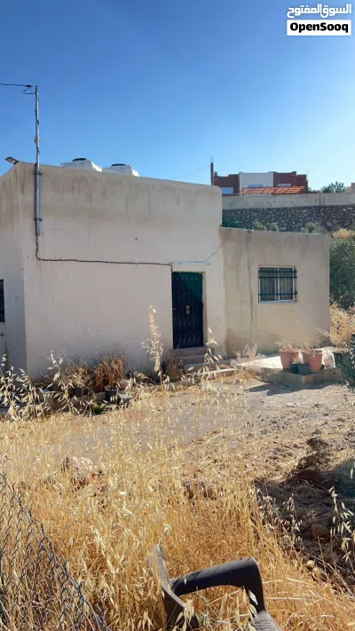 للبيع مزرعة أحلامك 3.5 دونم مشجرة زيتون مع بيت - في دحل اوستراد جرش الزرقاء 4
