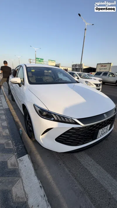 بیوایدی Qin 4