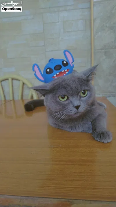 undefined 2