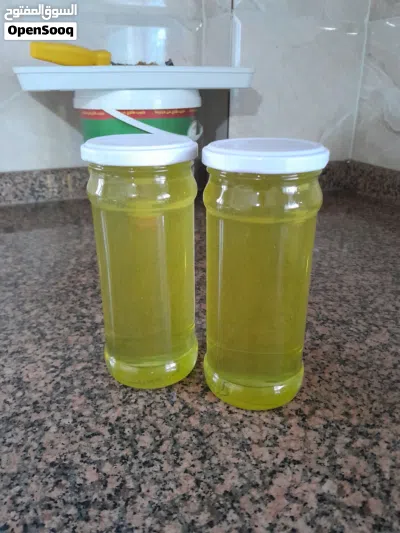 عسل بلدي مكفول وعالفحص وحبوب لقاح وغذاء ملكات ربيع 2026 2