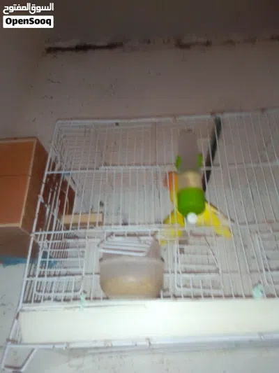 undefined 2