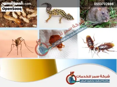 undefined 2