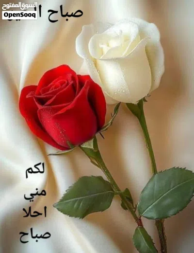 undefined 2