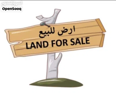 قطعتين ارض للبيع في المفرق ع مساحه 48042 سعر القطعه 26الف 2