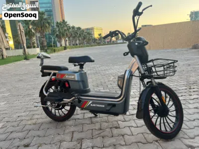دراجة كهربائية E-MOB موديل 2025 3