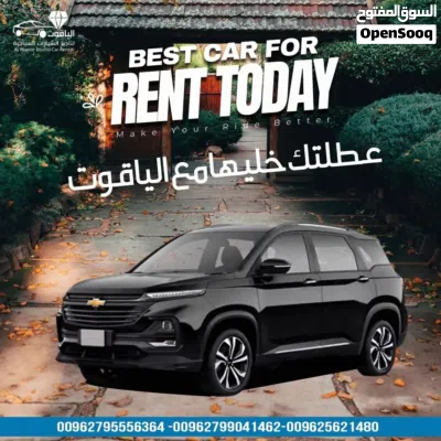 Chevrolet Captiva Standard 3
