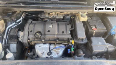 Peugeot 307 Standard 4