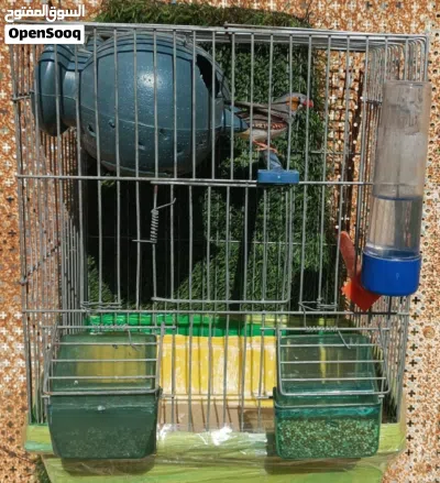 undefined 4
