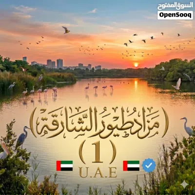 undefined 2
