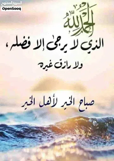 قطعة ارض للبيع مساحتها 505م2 3