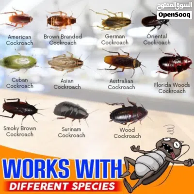 Cockroach Trap Agent Trap master 10g 4
