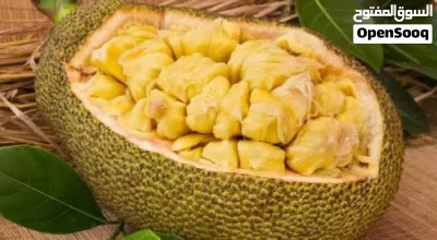 فنس (جاك فروت) اقرأ الوصف 3