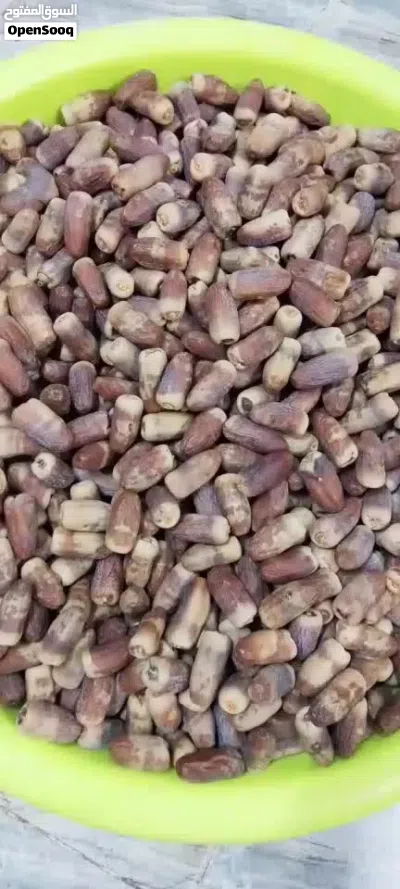 للبيع تمر نغال 2