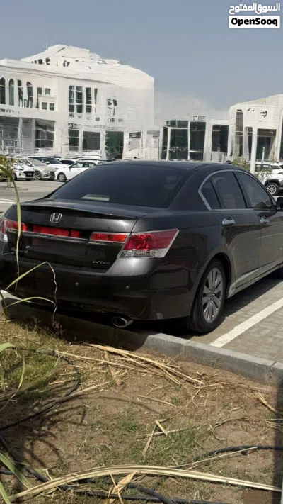 Honda Accord EX-L 2