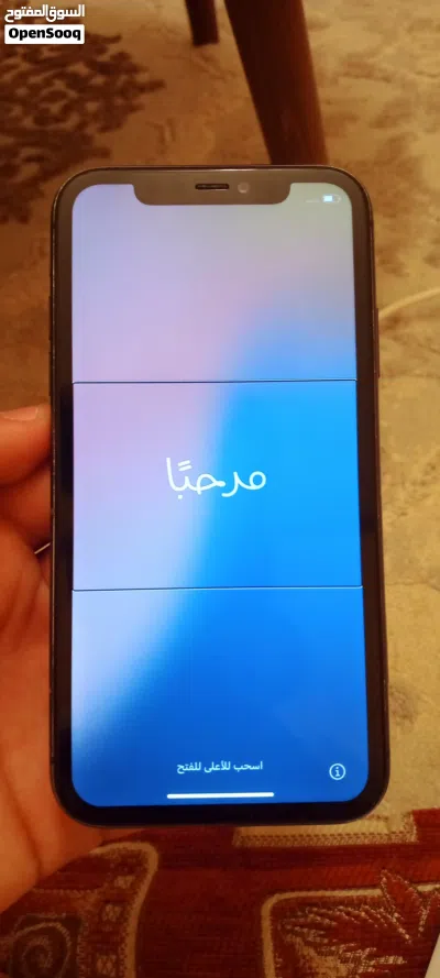 ايفون 11 العادي 4
