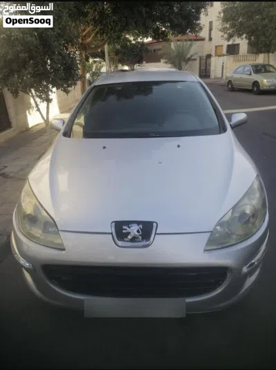 Peugeot 407 Basic 4