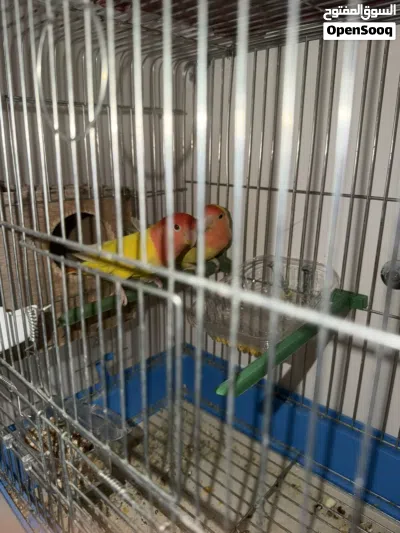 undefined 2