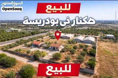 أرض استثمارية في بودريسة هكتار و1500 متر– موقع مميز على ثلاث شوارع – فرصة نادرة 2