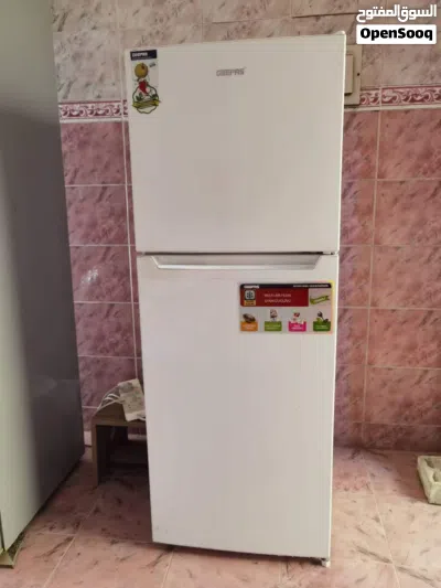 Fridge for Sale 2