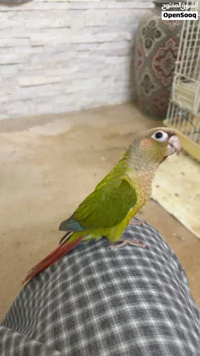 undefined 2