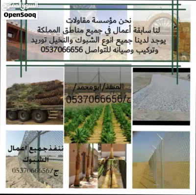 #شبوك سياج فنس شبك اسوار نخل نخيل فسايل نقايل فروخ جثايث نخل واشنطني 4