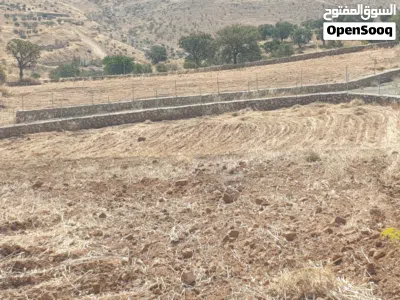قطعة مميزة مستوية مشغولة مسنسلة مشيكة مطلة على شارعين 5125م فقط 90000 صروت بيرين قرب العالوك والمسرة 2