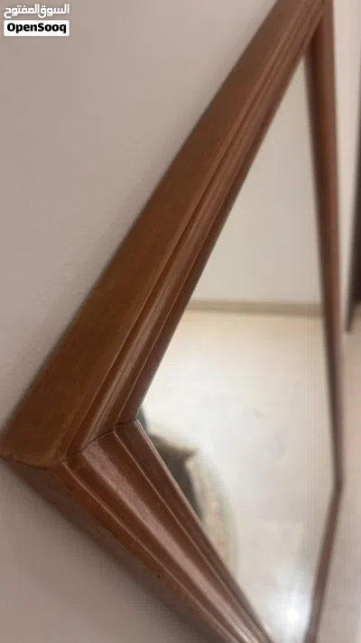 Brown Mirror 3