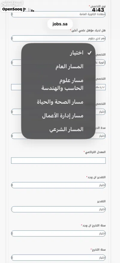 ايفون 17 العادي 2