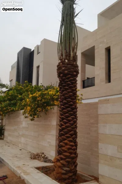 undefined 2