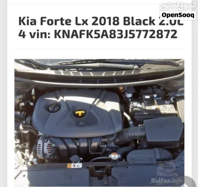 کیا Forte Standard 4