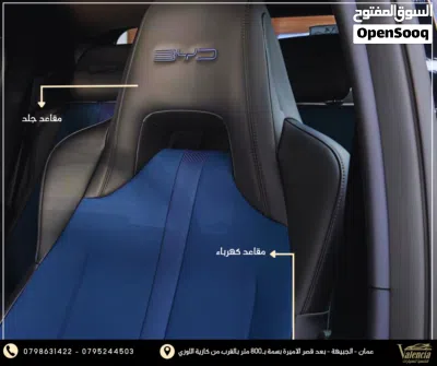 بي واي دي سيجول 3