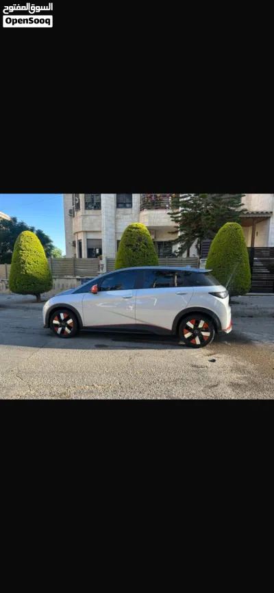 BYD Dolphin 3