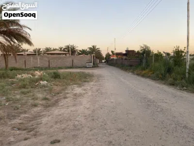 نص دونم ( 1،250 ) للبيع 3