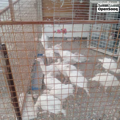 undefined 2