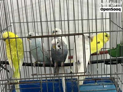 undefined 2