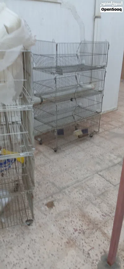 مستلزمات بيع بقوليات وتوابل 4