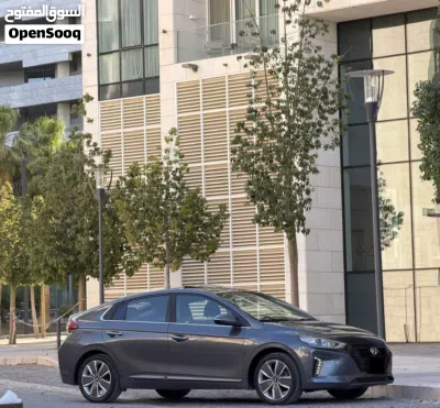 Hyundai Ioniq Standard 4