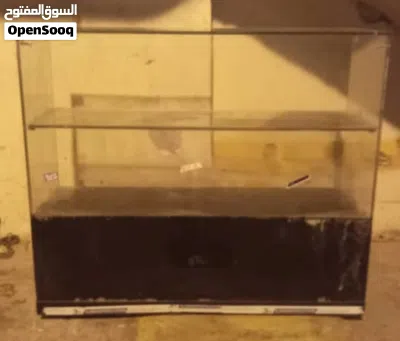 فترينة مرش 2