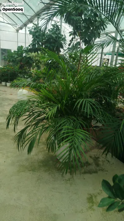 undefined 2